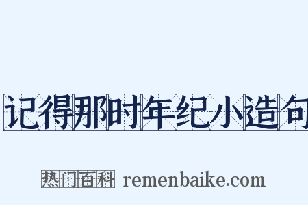 记得那时年纪小造句是什么意思的图片